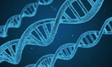 Coronavirus: SARS-CoV-2 . Datos desde la ciencia