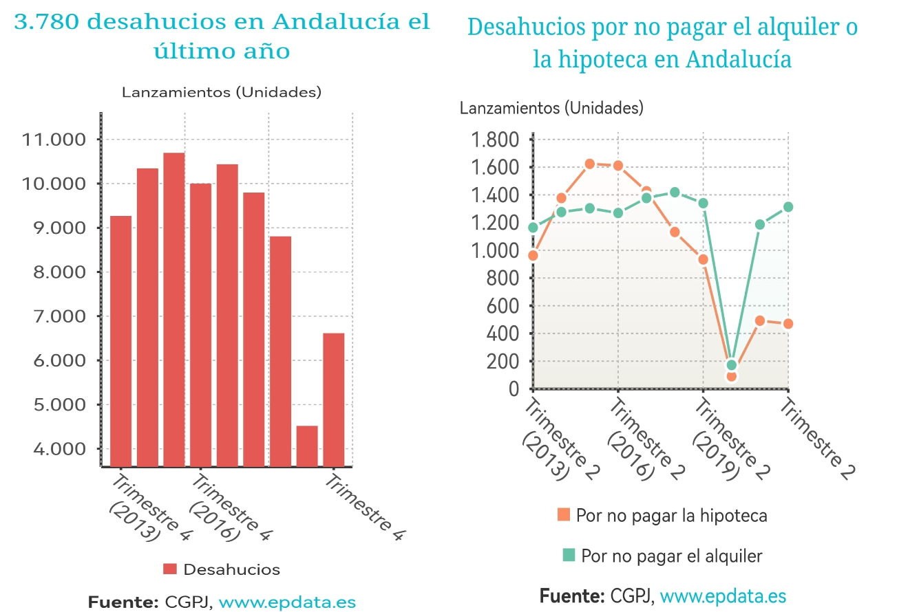 1grafico