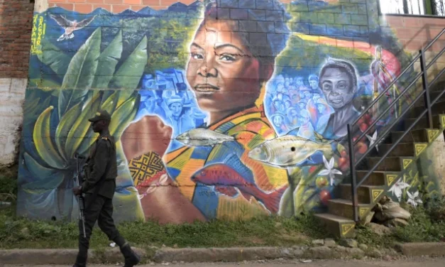 Colombia: Violencia y Paz. Entrevista a Paola Fernández