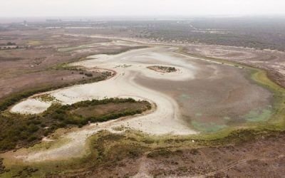 ¿Hacia dónde va la protección del medio ambiente en Andalucía?