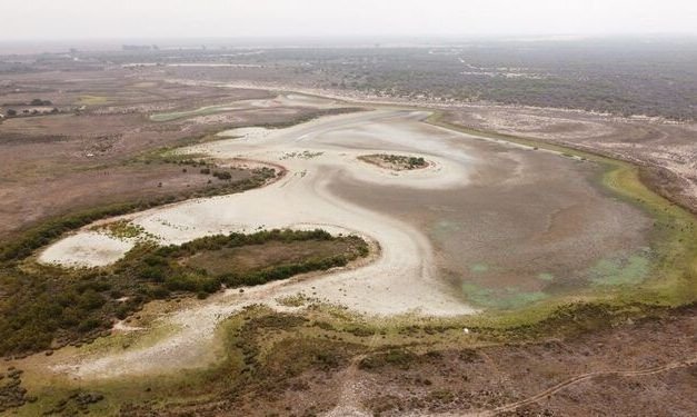 ¿Hacia dónde va la protección del medio ambiente en Andalucía?