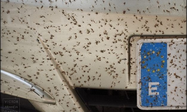 ¿Es España un país próspero?